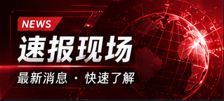 动态速览